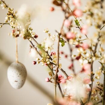 Cerchio di donne Ostara – equinozio di primavera – Tempio della Dea Milano