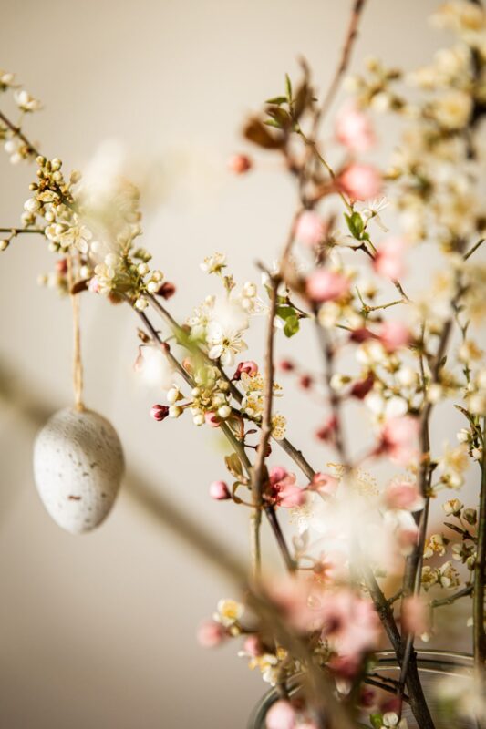 Cerchio di donne Ostara – equinozio di primavera – Tempio della Dea Milano